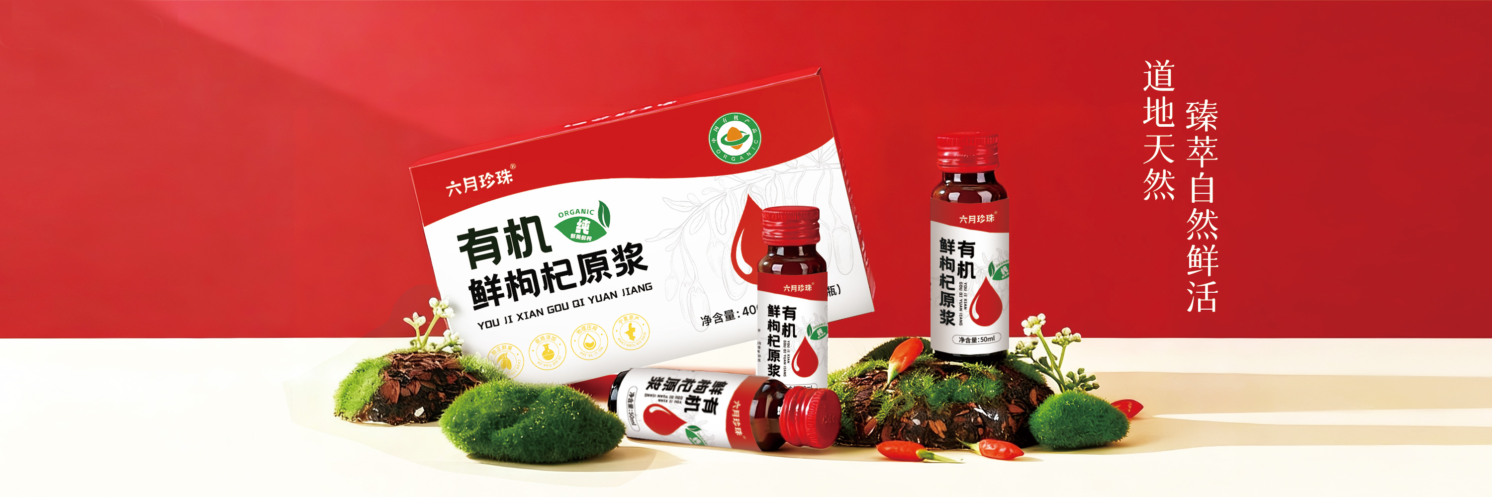 Furniture Collection 2023